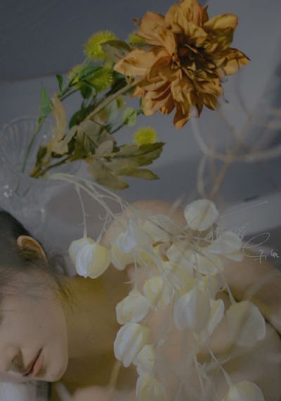 电影《终极女保镖》在线看_国产剧视频大全